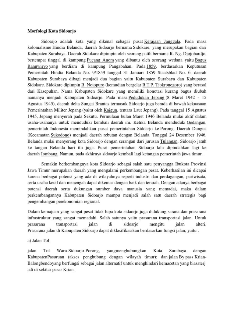 Morfologi Kota Sidoarjo | PDF