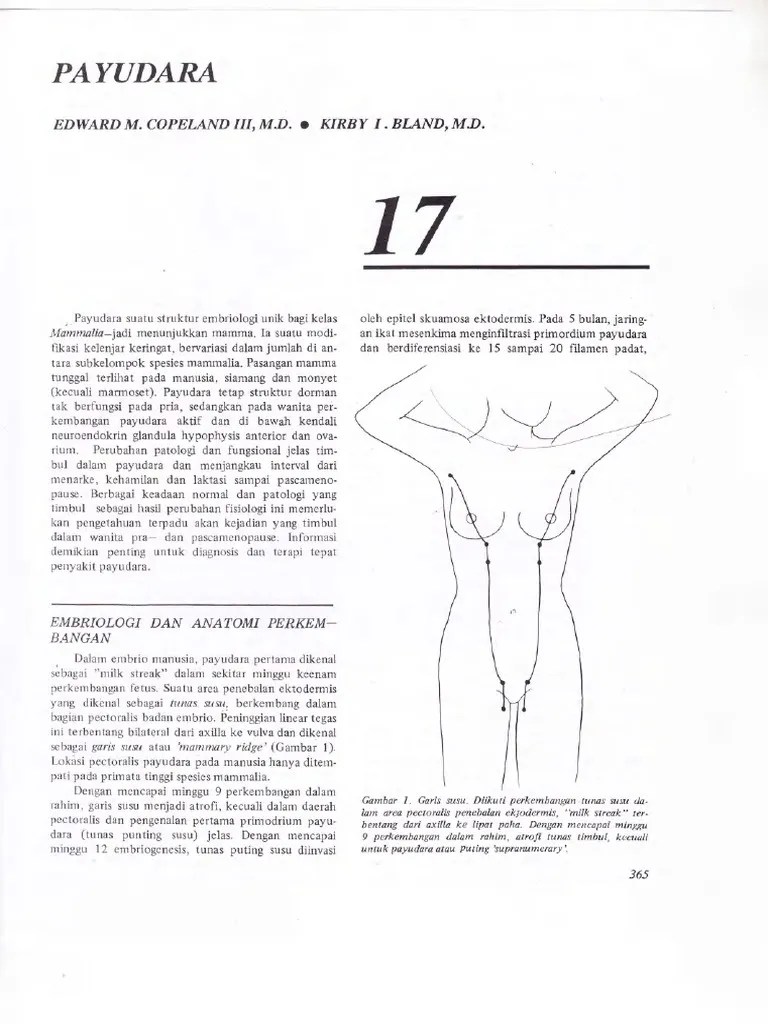 Bab 17.payudara | PDF