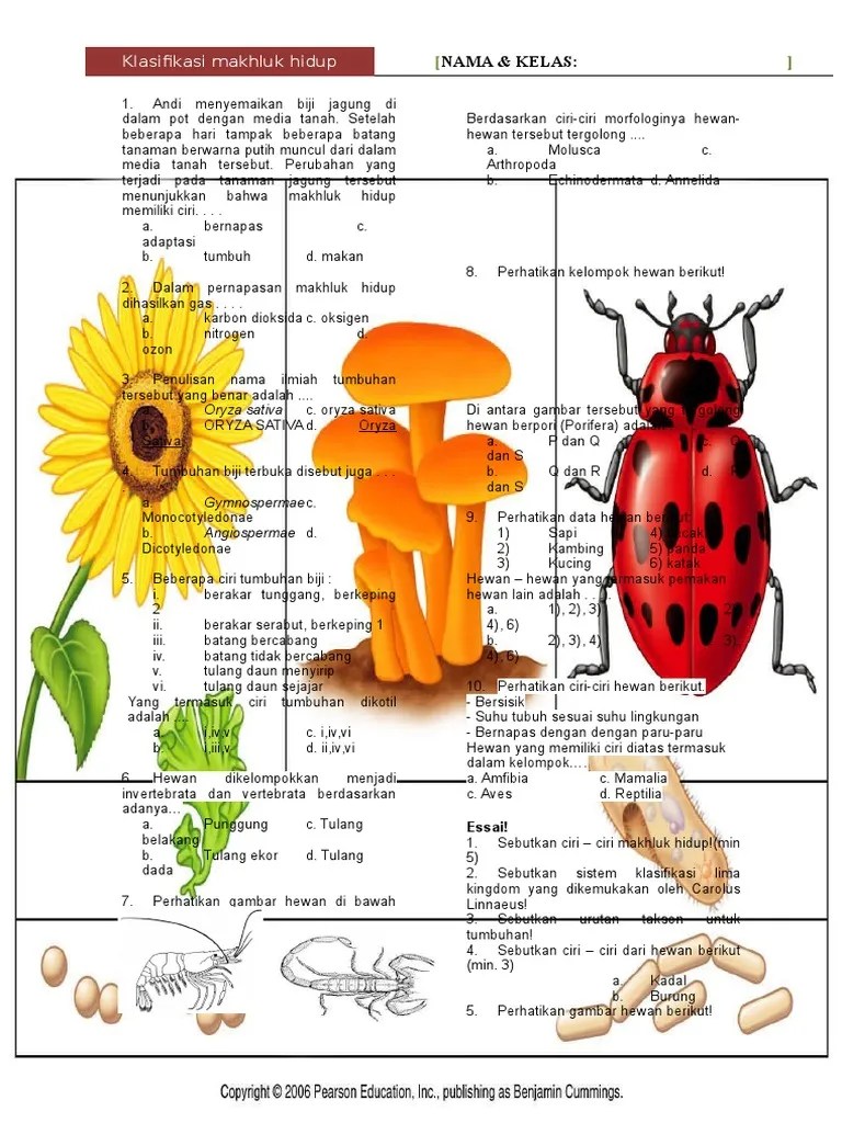 Uh Makhluk Hidup 1819 | PDF