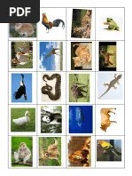 Frog (carnivore) and crow (omnivore) 4 pengguna tertier atau karnivor sekunder tertiery consumer or secondary carnivore 5 haiwan karnivor yang memakan pengguna … Gambar Haiwan Karnivor Herbivor Omnivor Pdf