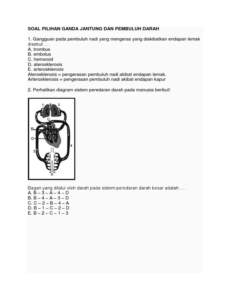 Suply darah dari jantung ke otak melalui pembuluh darah tersumbat. Soal Pilihan Ganda Jantung Dan Pembuluh Darah Pdf