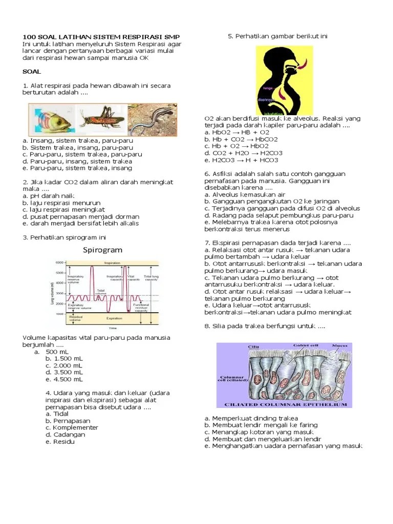 100 Soal Latihan Sistem Respirasi SMP Kls 8 | PDF