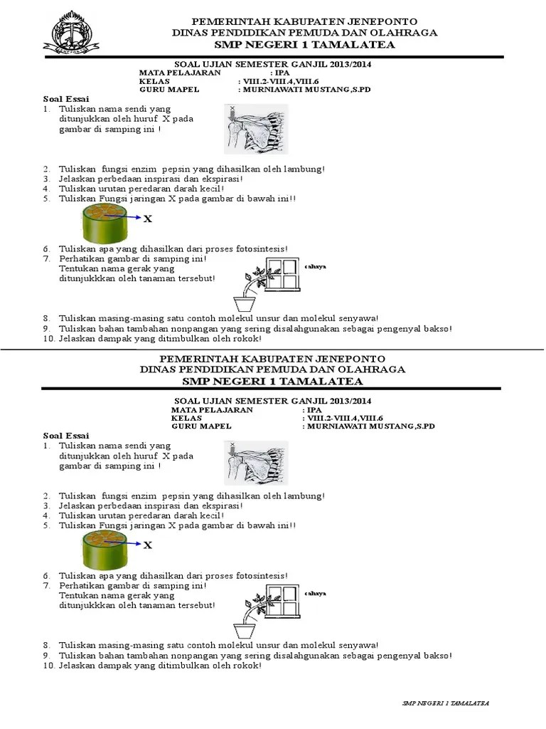 Urutan Peredaran Darah Kecil Ditunjukkan Oleh Gambar