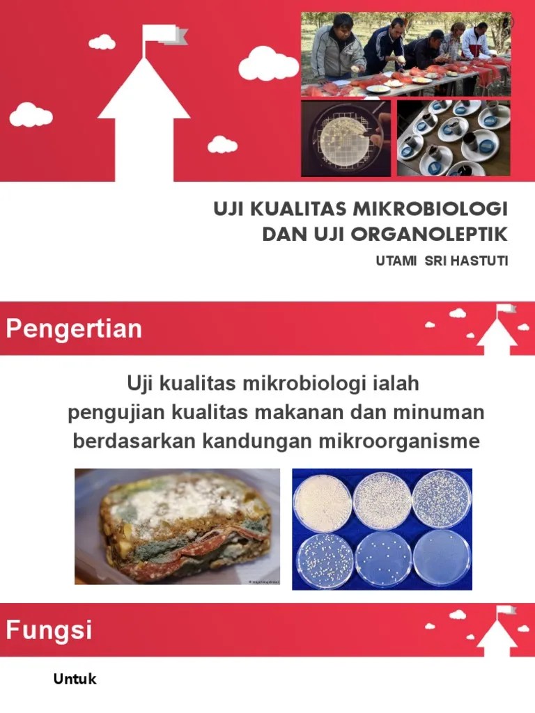 Uji Organoleptik | PDF