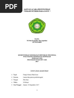 Satuan Acara Penyuluhan | PDF