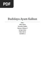 pdf deteksi cacing nematoda pada saluran pencernaan kambing bligon di desa tahunan grobogan jawa tengah detection of nematode worms in the digestive tract of bligon goat in the tahunan village of grobogan central java c s purwati, e a yakin. Budidaya Ayam Kalkun Pdf