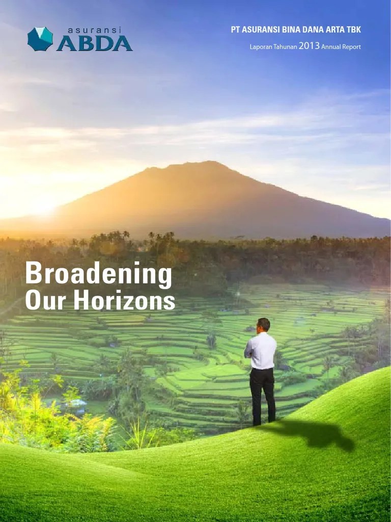 ABDA Annual Report 2013 | PDF