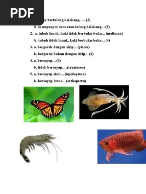 Kunci Determinasi | PDF