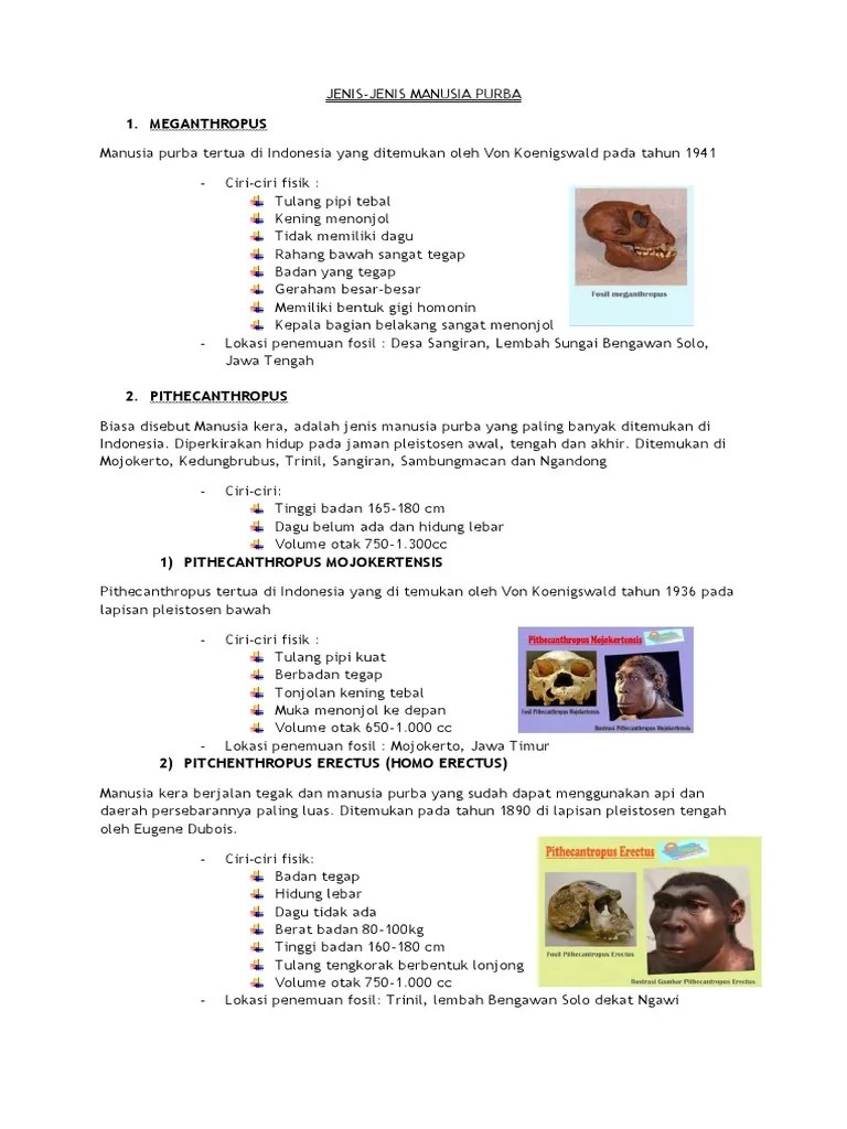 Jenis Manusia Purba | PDF
