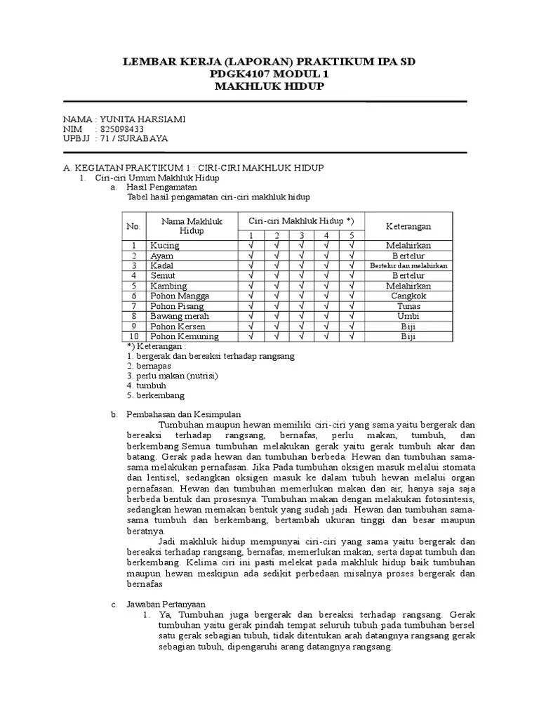 Lembar Kerja Laporan Praktikum Ipa SD PD | PDF