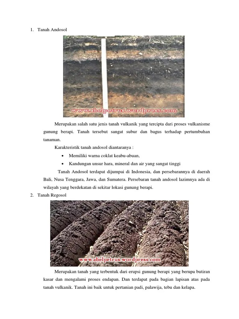 Tanah Andoso1 | PDF