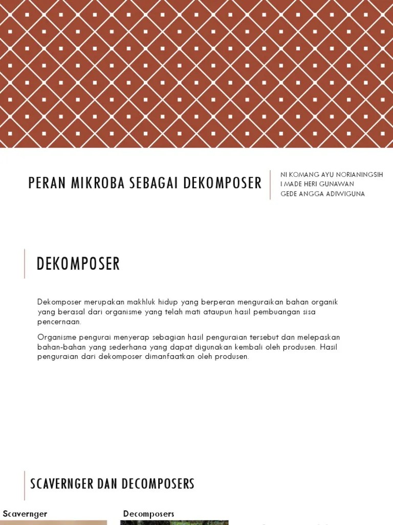 Peran Mikroba Sebagai Dekomposer | PDF