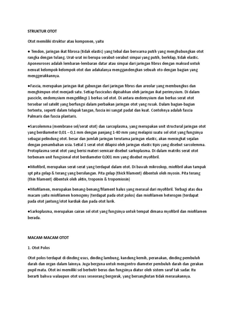 Struktur Dan Macam Otot | PDF