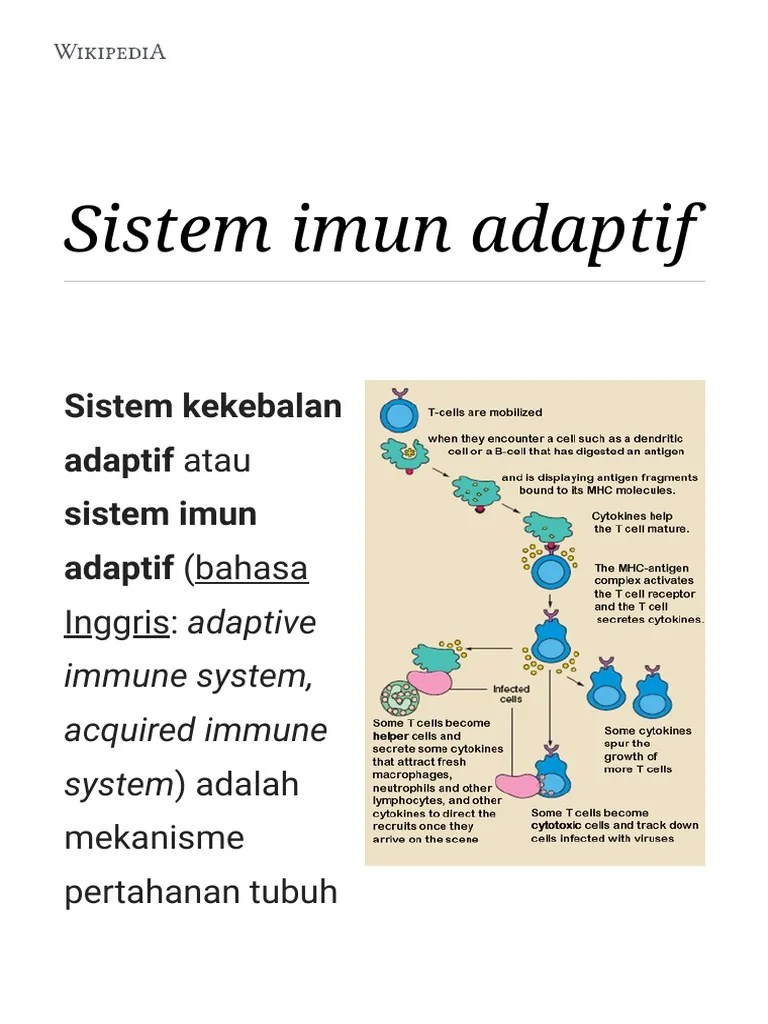 Sistem Imun Adaptif - Wikipedia Bahasa Indonesia, Ensiklopedia Bebas | PDF