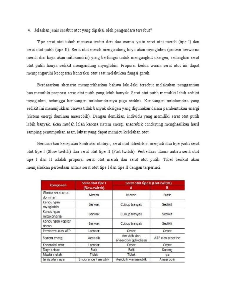 Jenis Serabut Otot | PDF