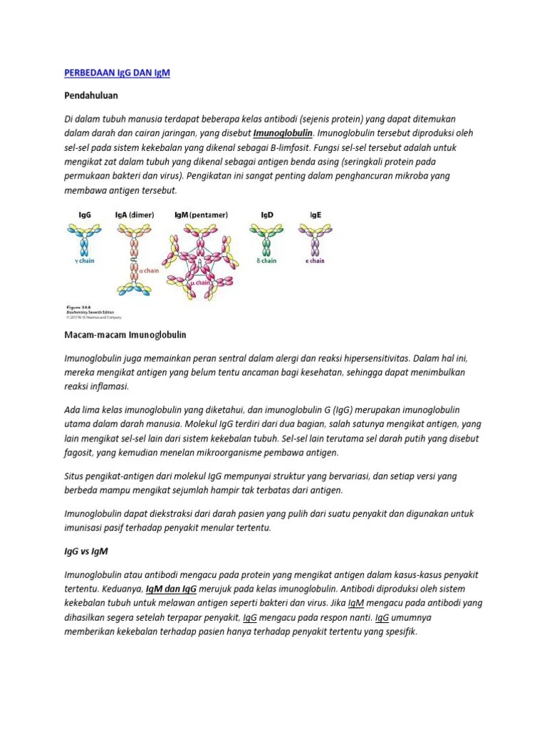 PERBEDAAN IgG DAN IgM | PDF