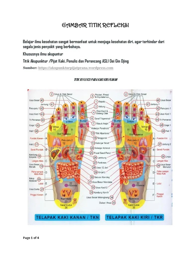 Gambar Titik Refleksi | PDF