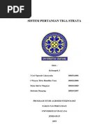 Sistem Pertanian Tiga Strata (KLP 3) | PDF