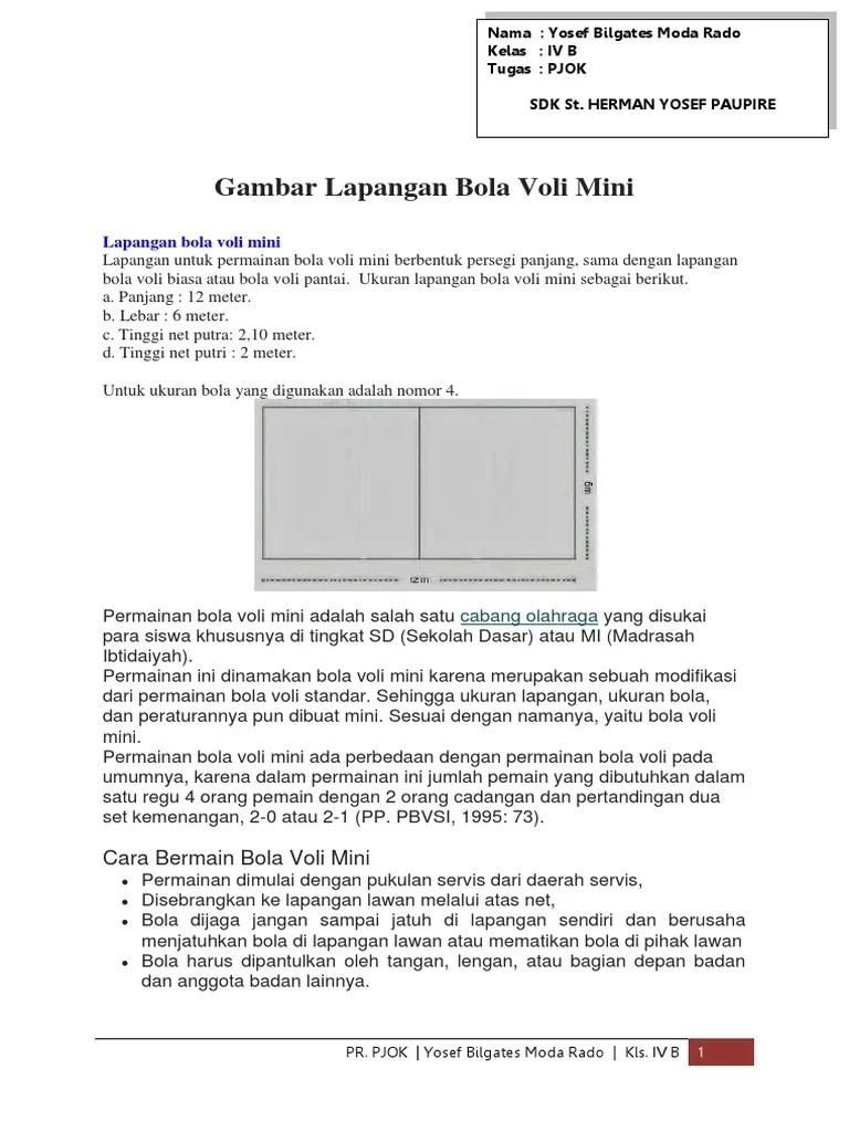 Gambar Lapangan Bola Voli Mini | PDF