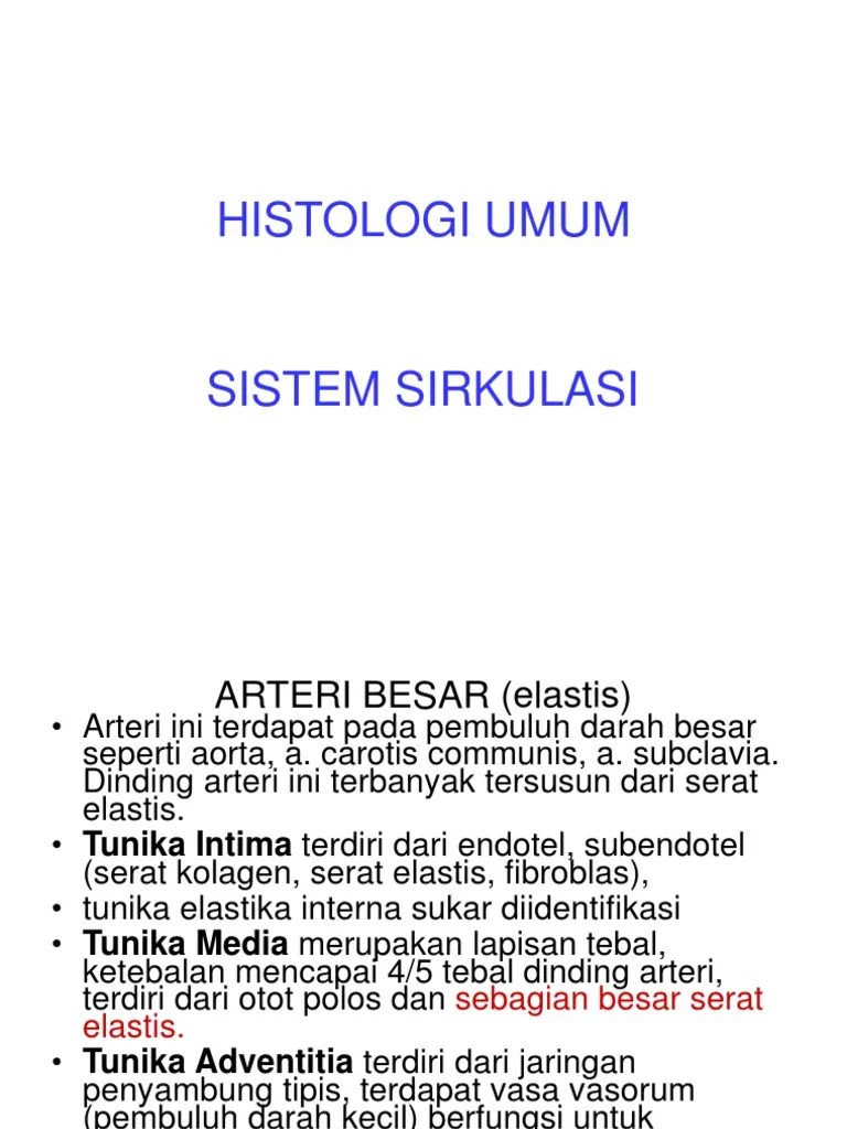 Histo Umum Modul 1.4 | PDF