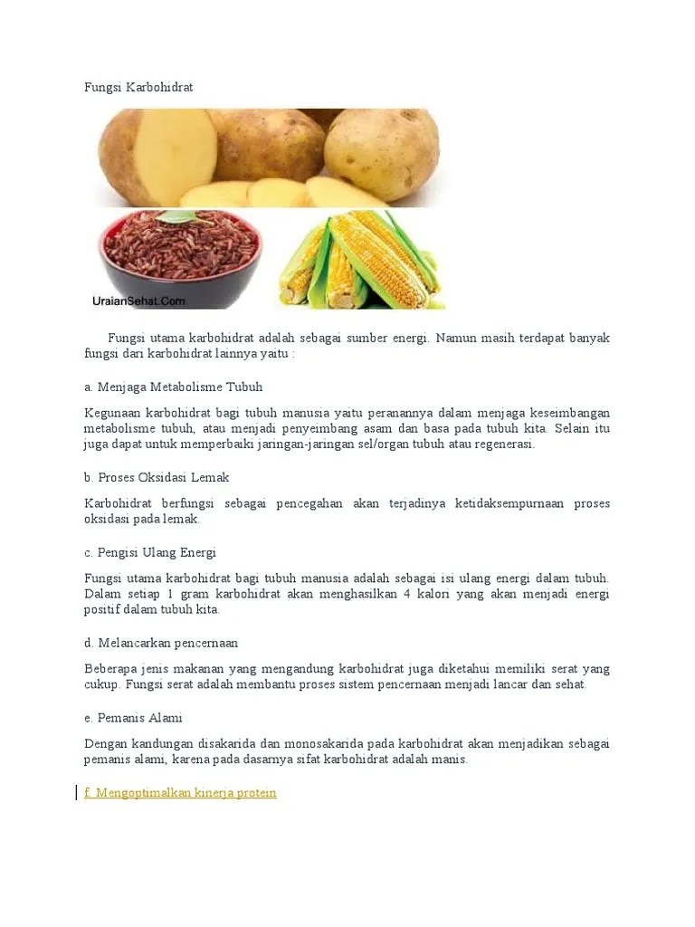 Fungsi Karbohidrat Rianti | PDF
