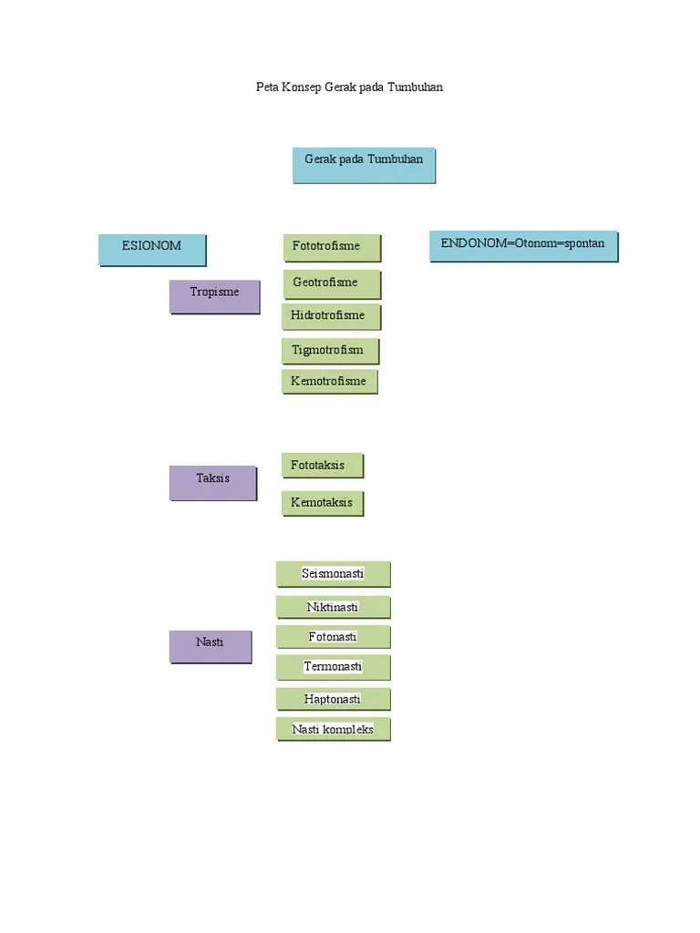 Peta Konsep Gerak Pada Tumbuhan (Evi) | PDF