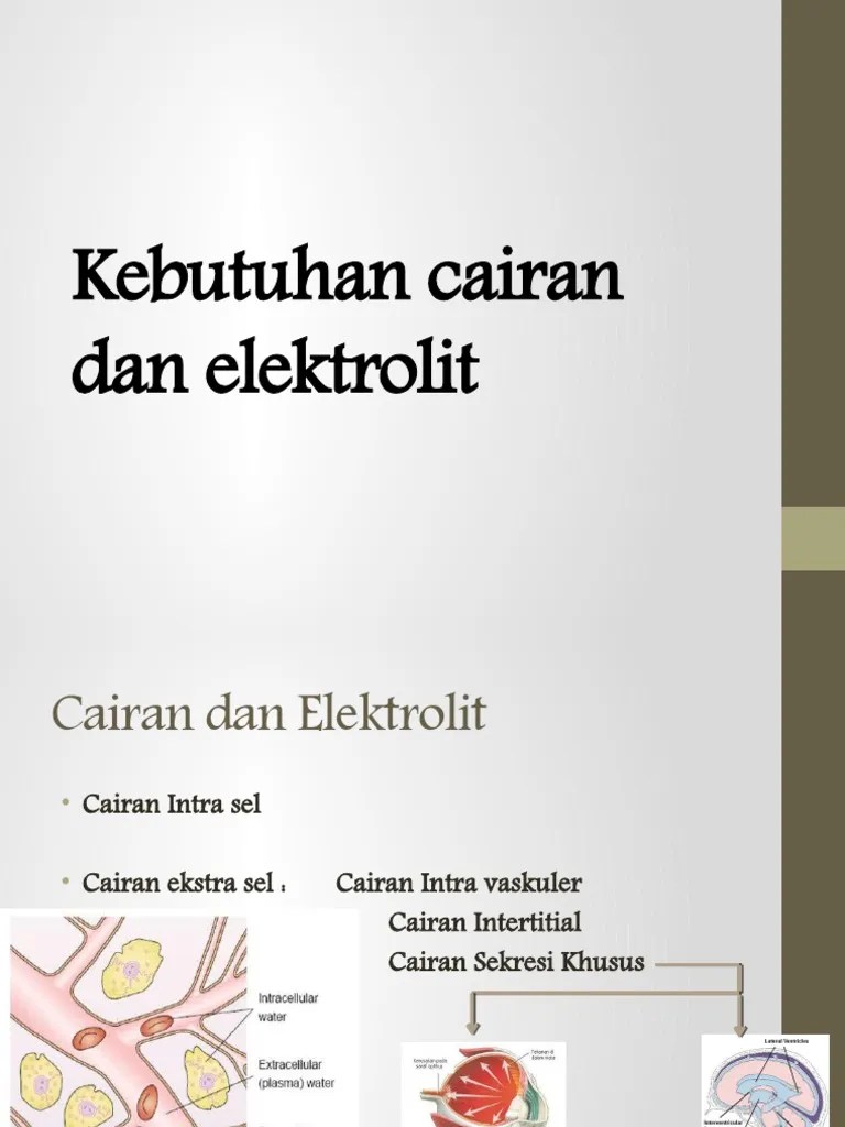 Kebutuhan Cairan Dan Elektrolit | PDF