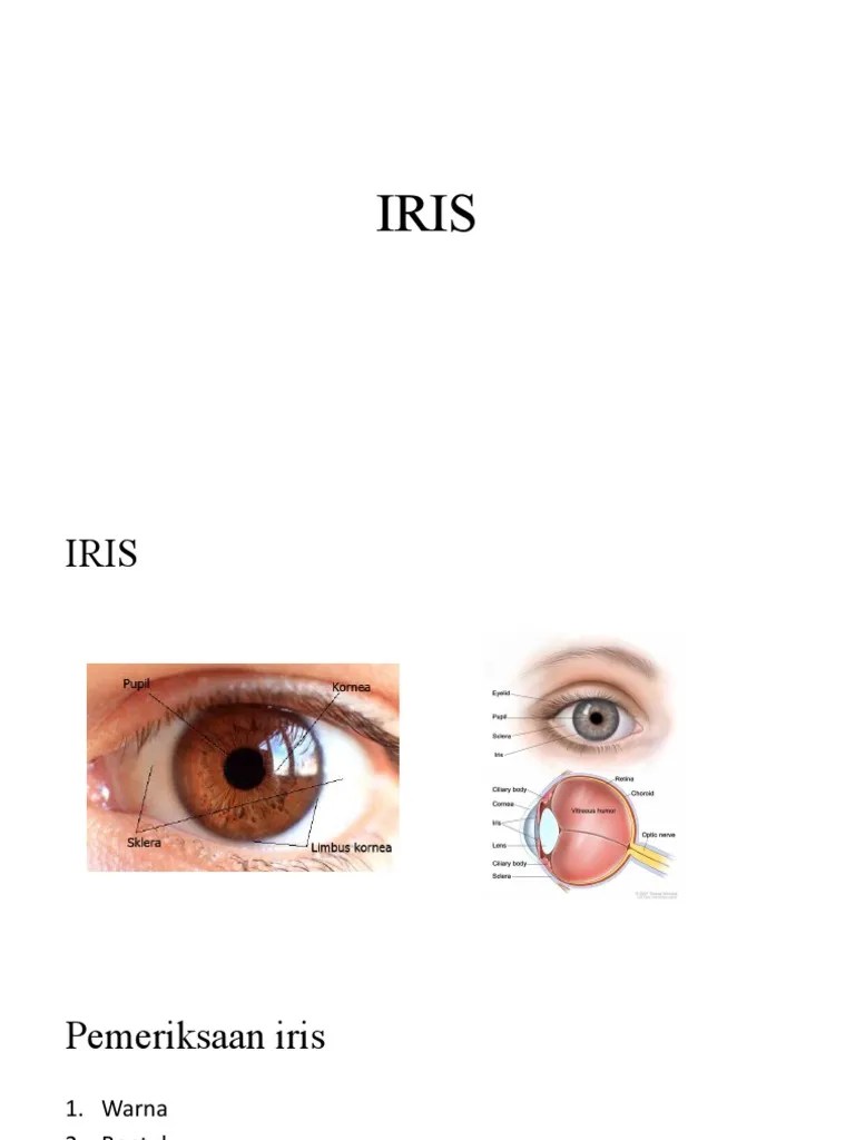 Pemeriksaan IRIS | PDF