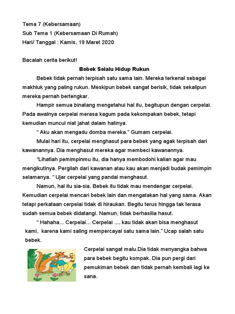 Cerita Dongeng Bebek Selalu Hidup Rukun - Foto Modis