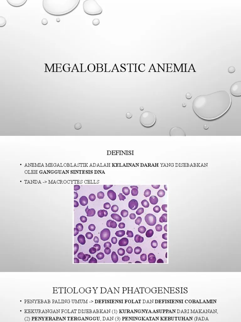 Anemia Megalo Aplastic | PDF
