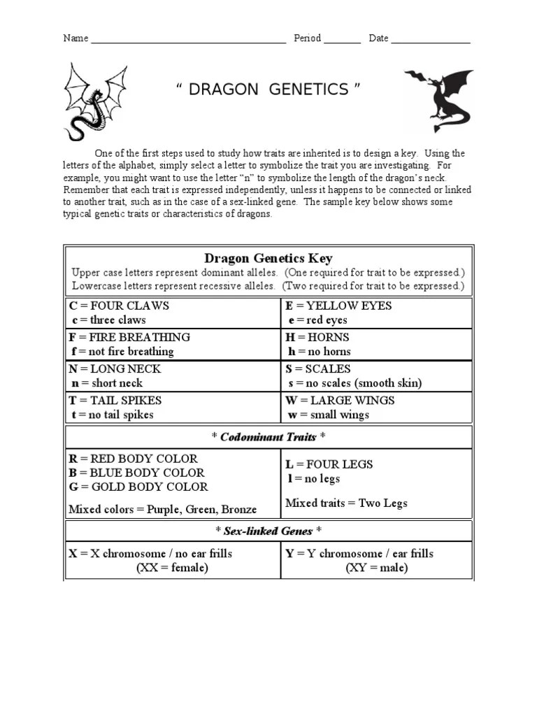 dragon genetics worksheet phenotypic trait dominance genetics