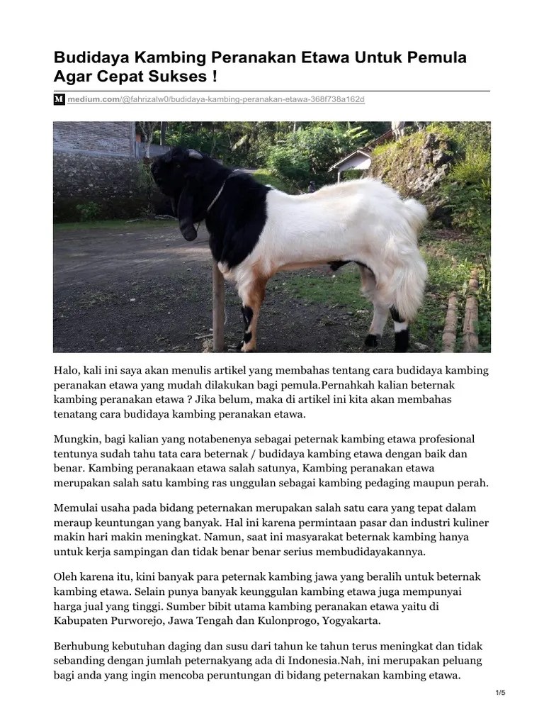 Data yang diperoleh untuk kinerja reproduksi kambing peranakan etawa (pe) di. Budidaya Kambing Peranakan Etawa Untuk Pemula Agar Cepat Sukses Pdf