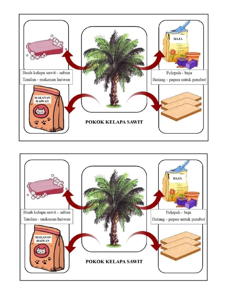 Pokok kelapa merupakan tanaman yang sangat berguna kepada manusia. Bina Ayat Pokok Kelapa Sawit Pdf