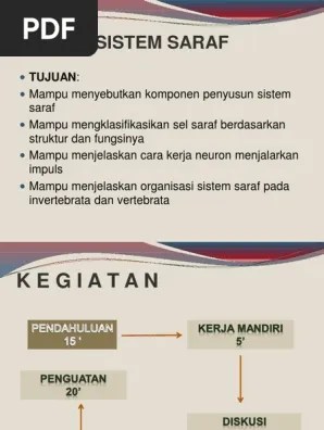Sistem Saraf | PDF