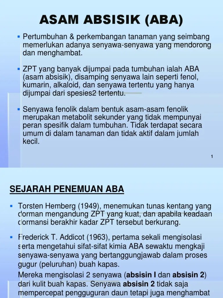 Asam Absisik (Aba) | PDF