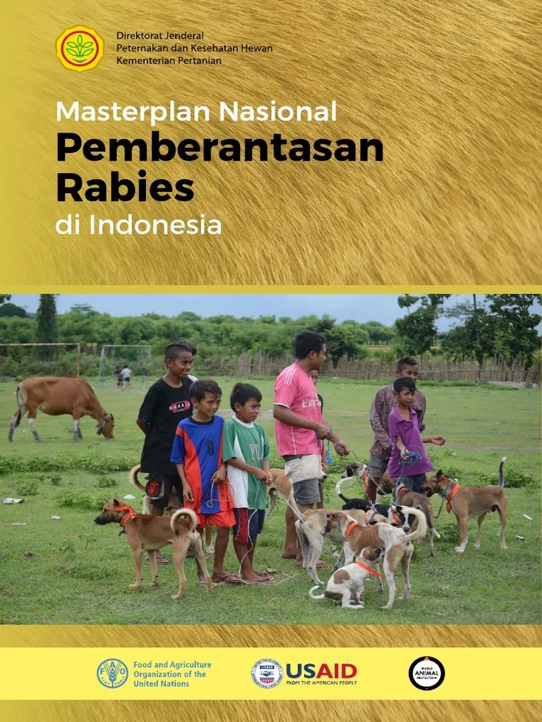 Roadmap Rabies v05 - Indonesia PDF | PDF
