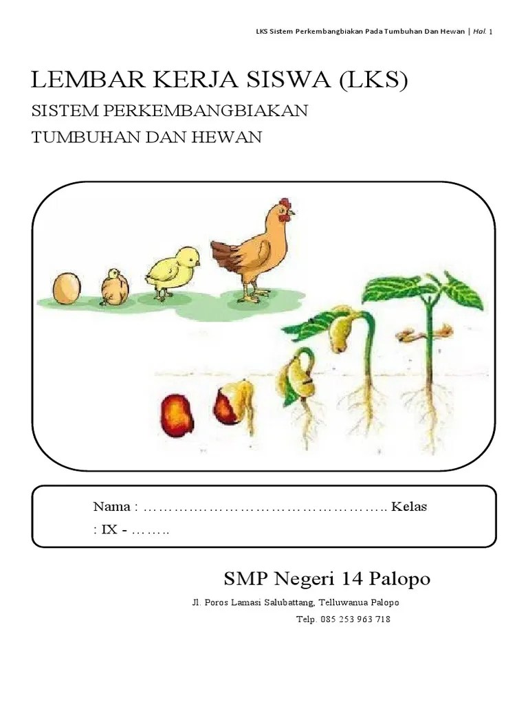 LKS IPA BAB 2 Selama 1 Bulan Agustus | PDF