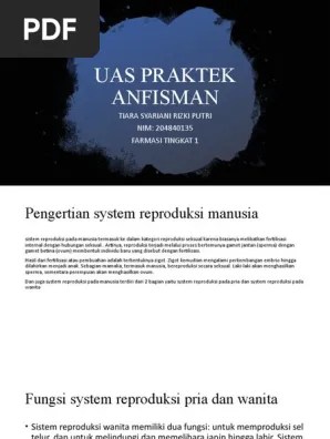 ANFISMAN | PDF
