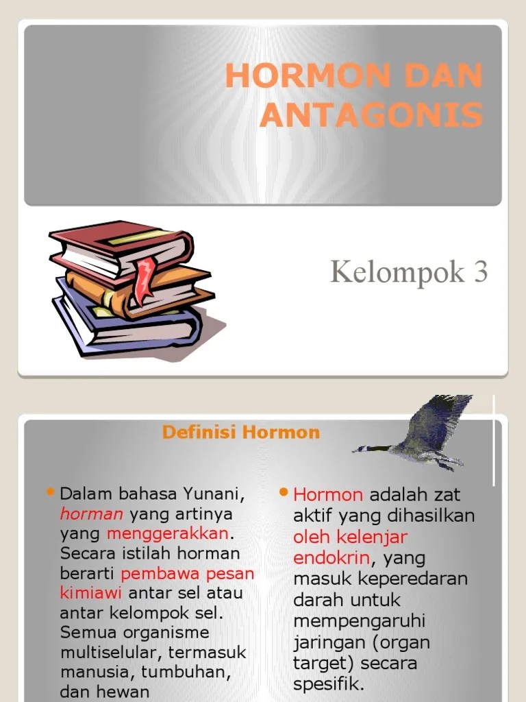 Hormon Dan Antagonis: Kelompok 3 | PDF