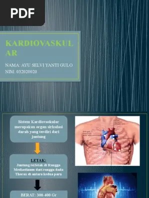 KARDIOVASKULAR | PDF