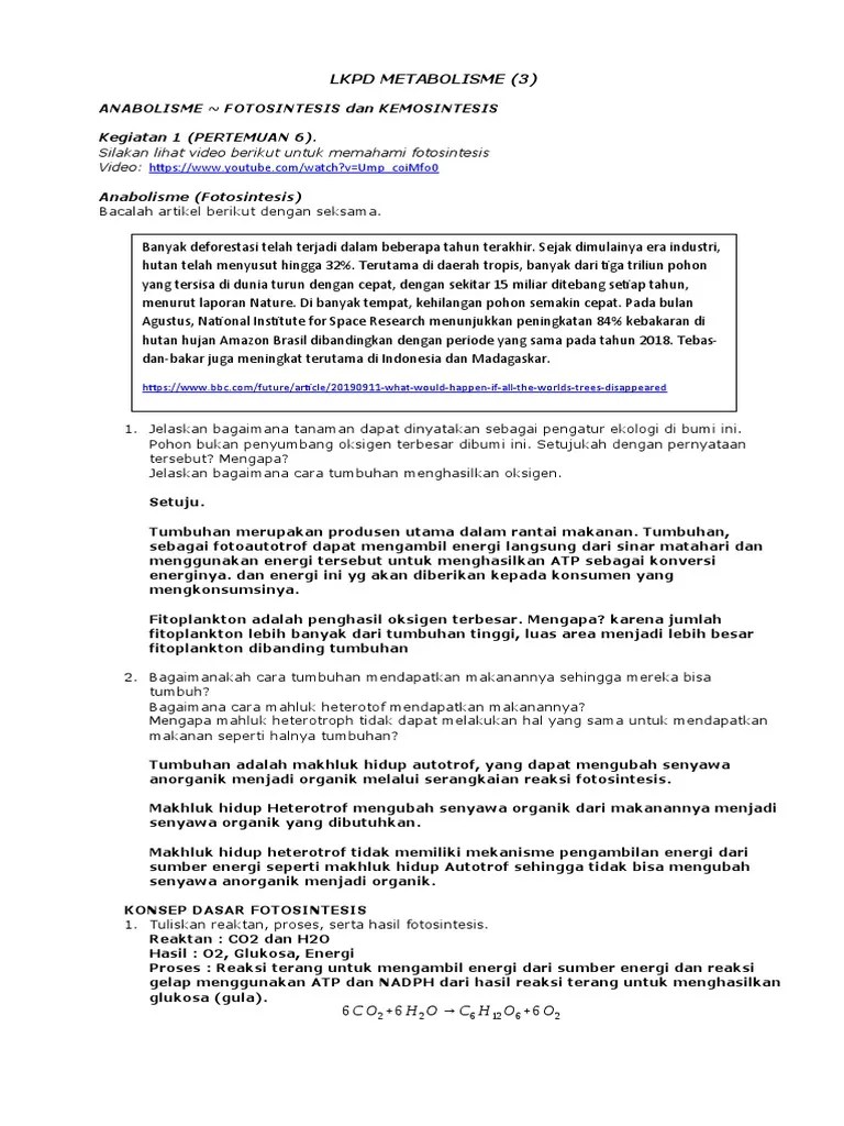 LKPD Fotosintesis | PDF