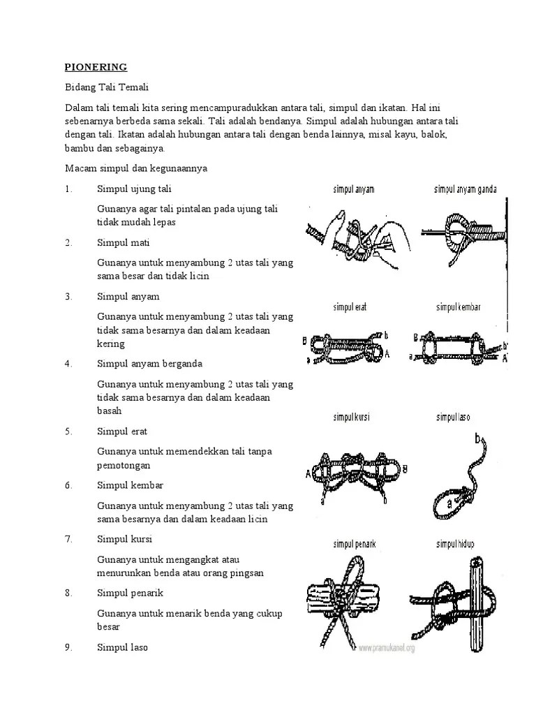 Litbang Pionering | PDF