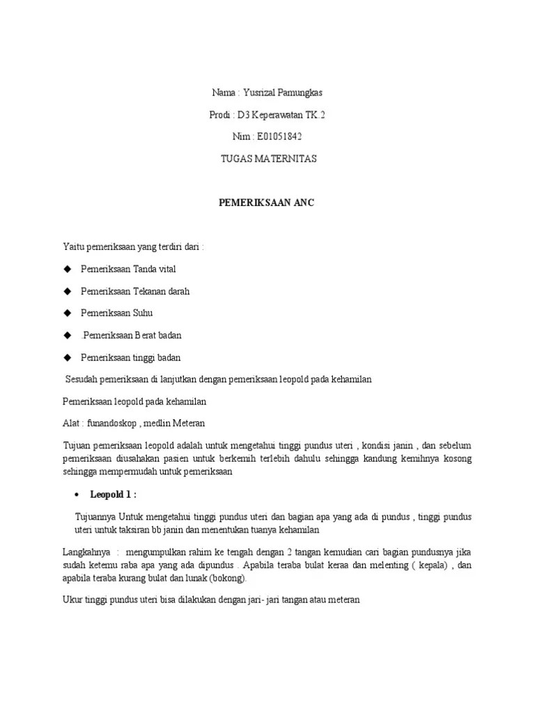 Yusrizal Pamungkas (Tugas Maternitas) | PDF