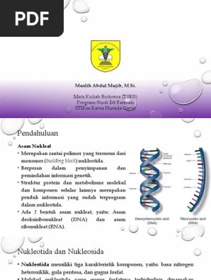 4. Asam Nukleat | PDF