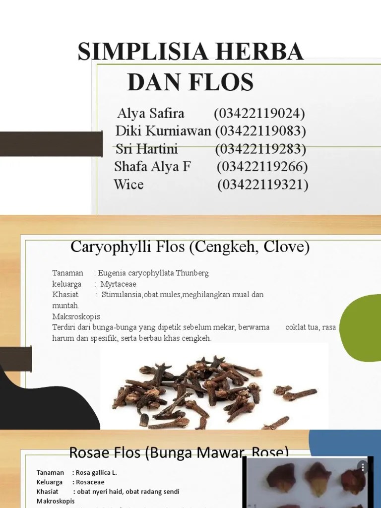 Herba Dan Flos | PDF