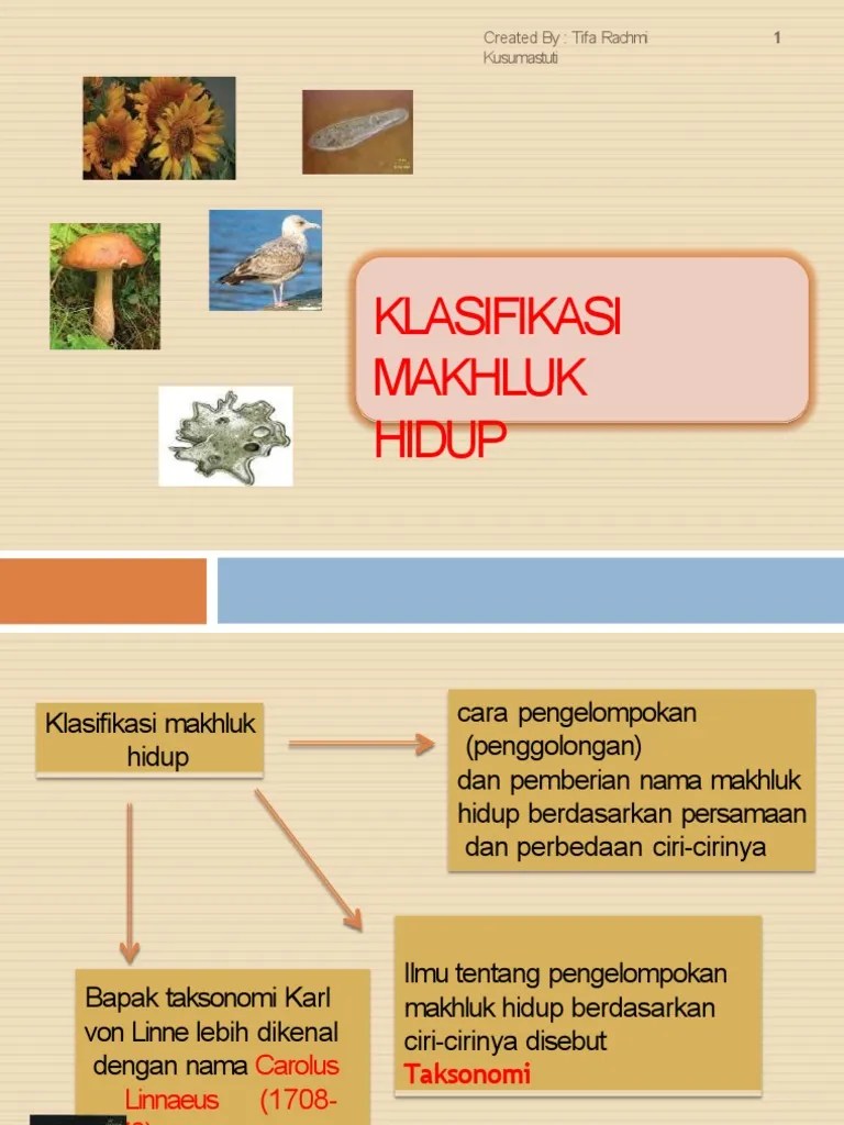 Ppt Klasifikasi Makhluk Hidup Kelas 7 | PDF