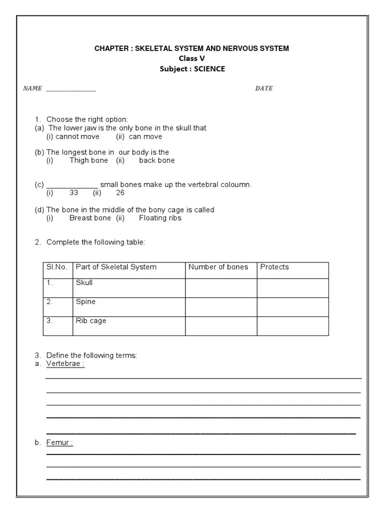 cbse class 5 science worksheets 13 skeletal and nervous system pdf skeleton vertebral column