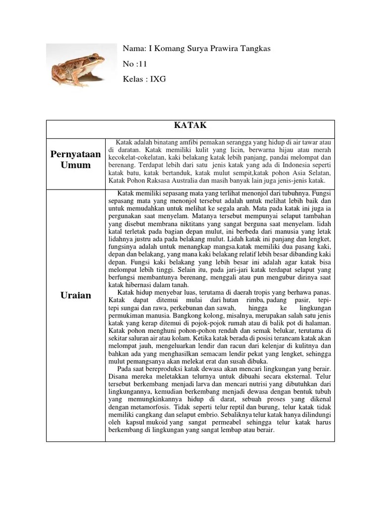 Tugas BHS Indonesia Membuat Pernyataan Umum Dan Uraian | PDF