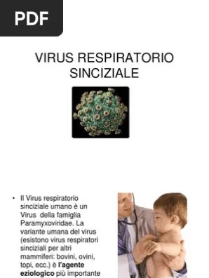 L’infezione da virus respiratorio sinciziale (vrs) è una flogosi che colpisce l’apparato respiratorio dei neonati o di bambini molto piccoli. Virus Respiratorio Sinciziale Pdf