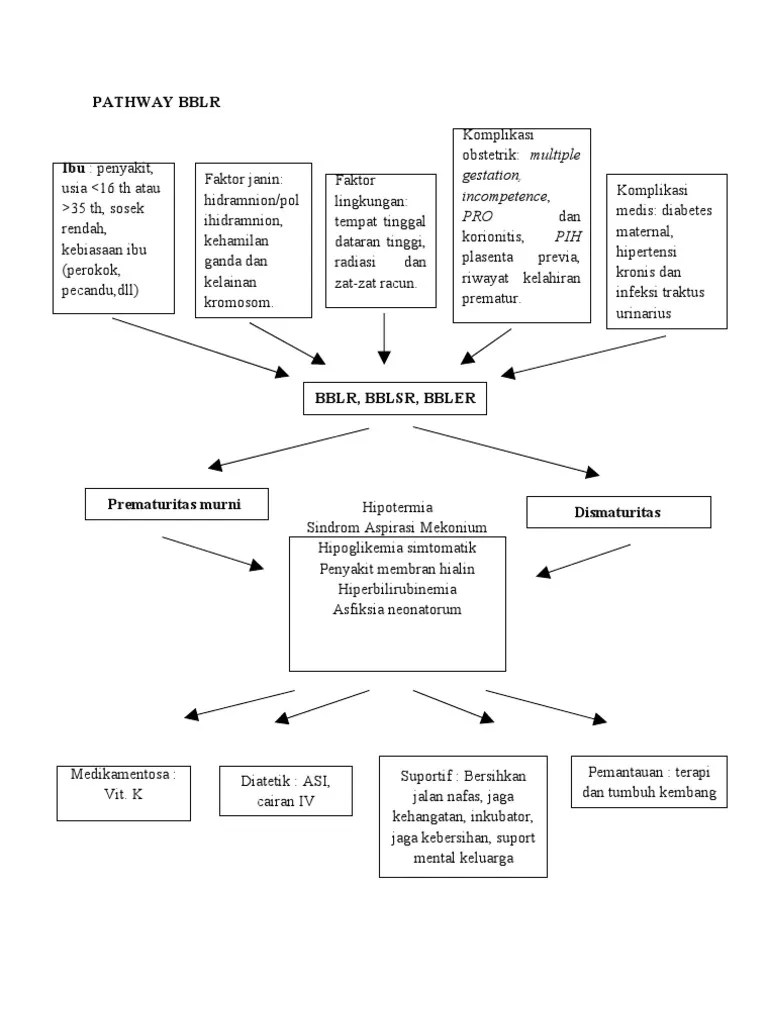 Laporan pendahuluan asuhan keperawatan dengan diagnosa observasi febris. Pathway BBLR